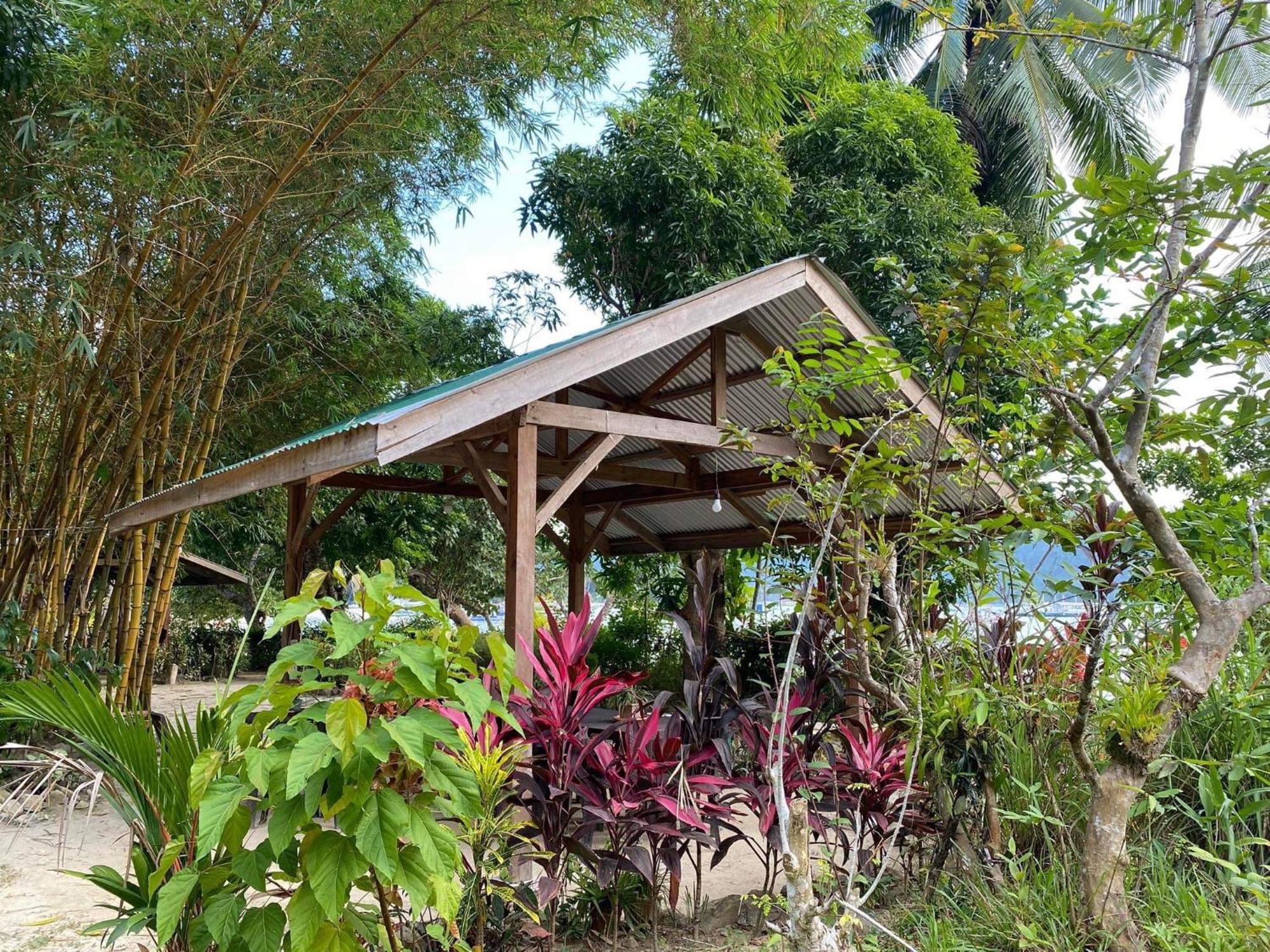 Port Barton - Paradiso Azul Campsite Beachfront With Internet San Vicente  Kültér fotó