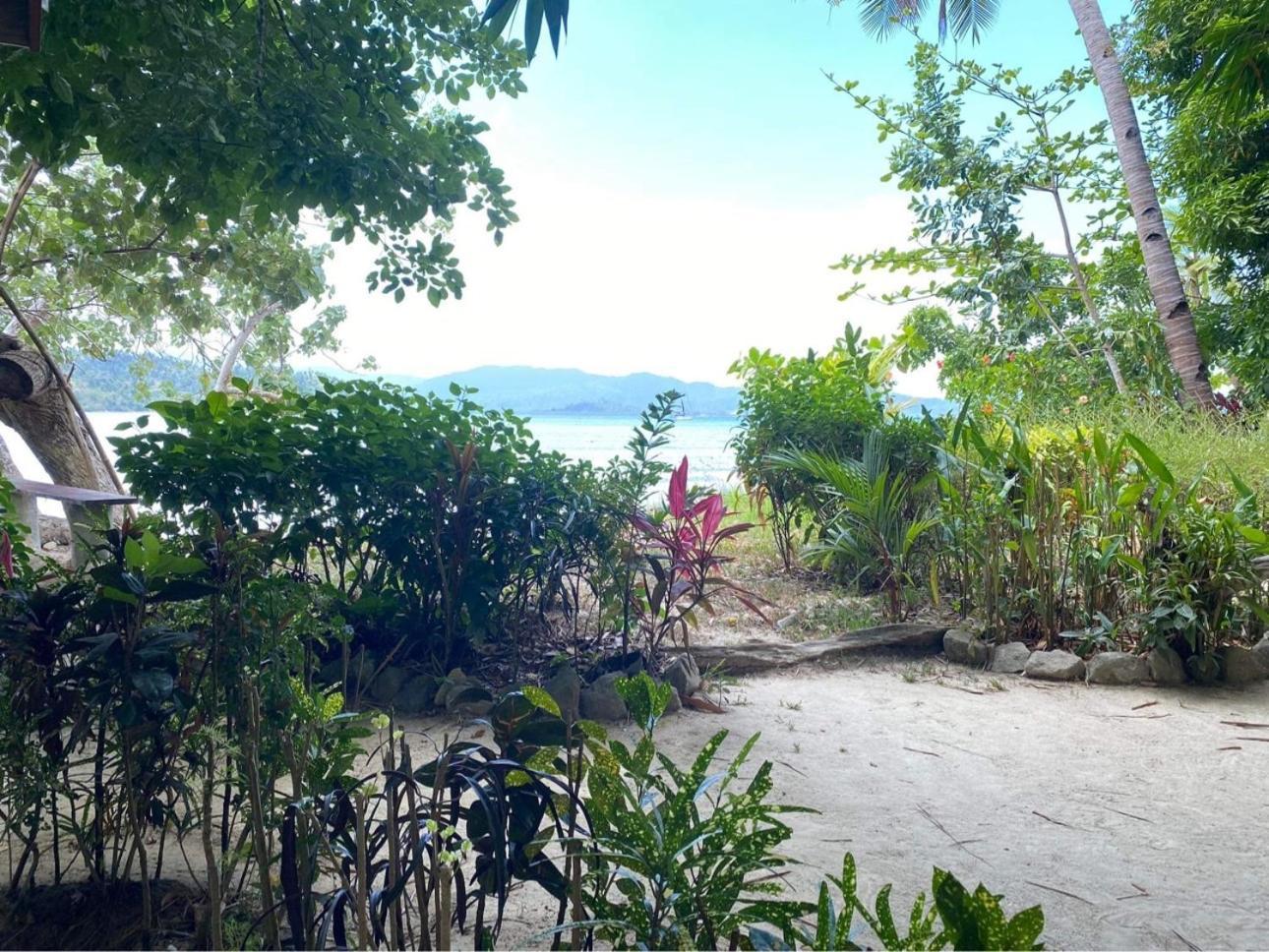 Port Barton - Paradiso Azul Campsite Beachfront With Internet San Vicente  Kültér fotó