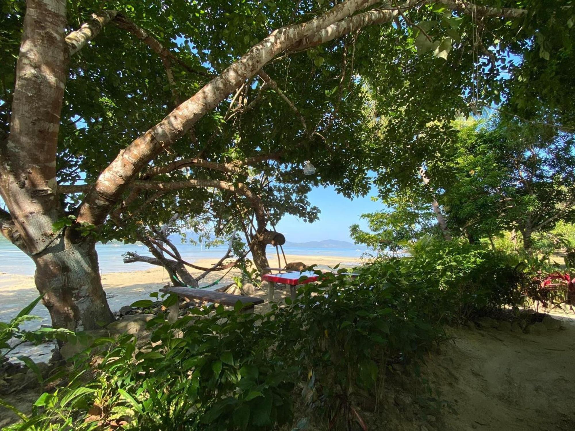 Port Barton - Paradiso Azul Campsite Beachfront With Internet San Vicente  Kültér fotó