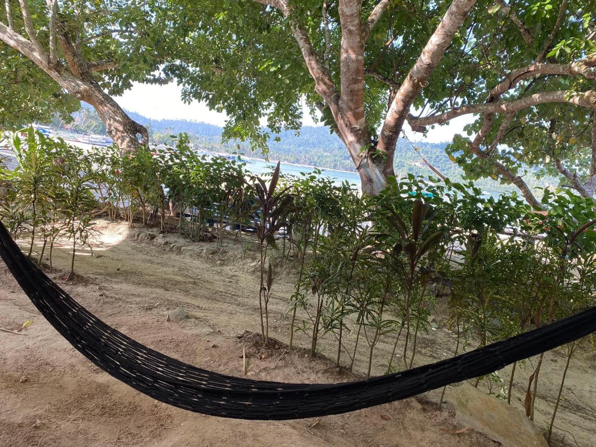Port Barton - Paradiso Azul Campsite Beachfront With Internet San Vicente  Kültér fotó